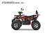 PROMAX WILD 2.0 190 PRO (2025)